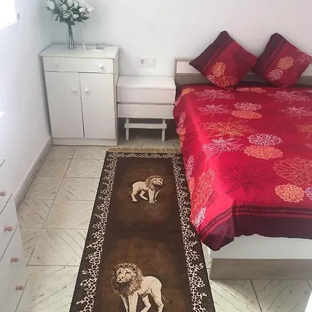 Appartement In Center Of 2020